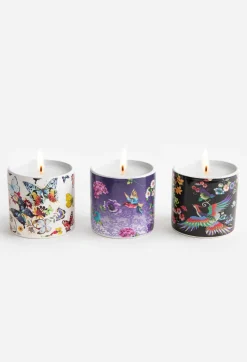 Johnny Was Fine Set Of 3 Votive Candles Multi