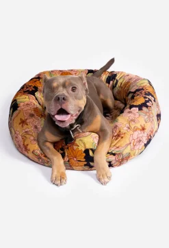 Clearance Johnny Was Wonder Years Large Dog Bed Wonderyears