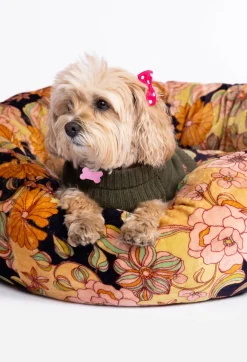 Clearance Johnny Was Wonder Years Large Dog Bed Wonderyears